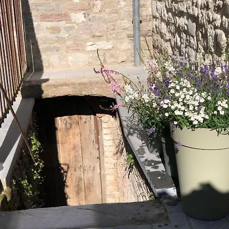 Jaja Limbourg